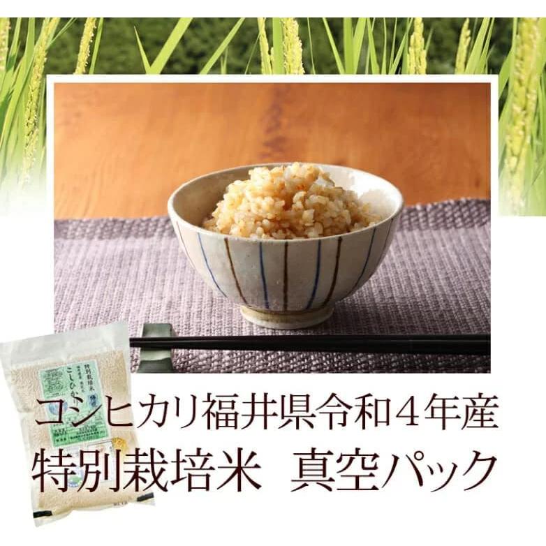 発芽玄米 無農薬（農薬・化学肥料不使用） コシヒカリ 5kg 令和5年産