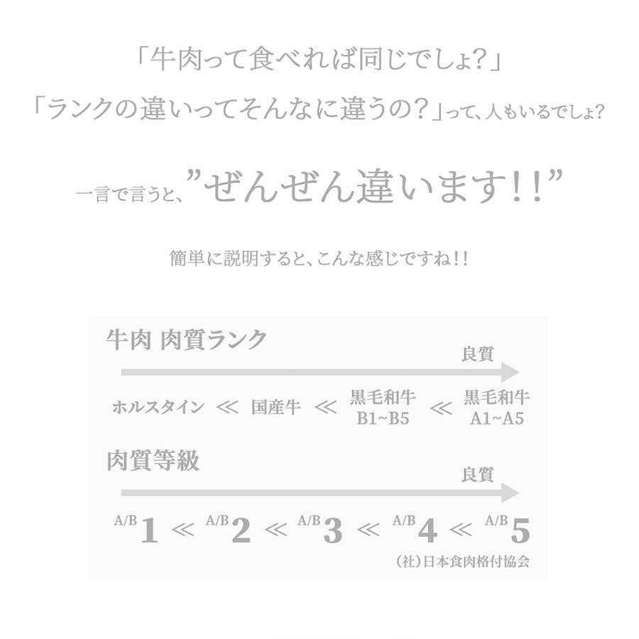 お歳暮 御歳暮 肉 焼肉 牛 牛肉 ステーキ 霜降り サーロイン A5 黒毛和牛 200g 冷凍 プレゼント ギフト 贈り物