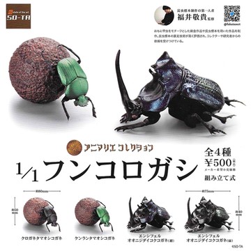 全套4款 日本正版 1比1 糞金龜 扭蛋 轉蛋 甲蟲 金龜子 聖甲蟲 屎甲蟲 昆蟲模型 - 785155