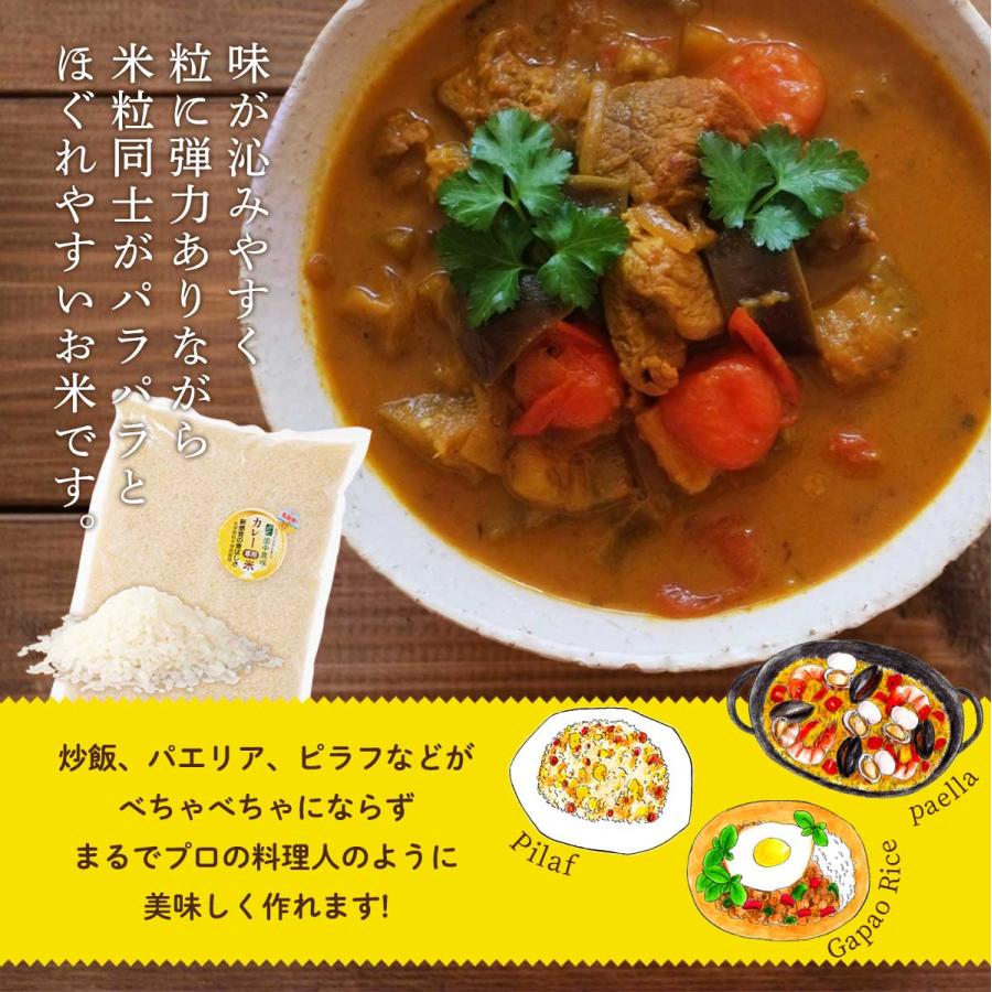 [田中農場] 新米 令和4年鳥取県産 カレー専用米 プリンセスかおり 白米 2kg  鳥取県 カレーライス ご飯 ごはん 炒飯 パエリア とっとり香り米 ポップコーン