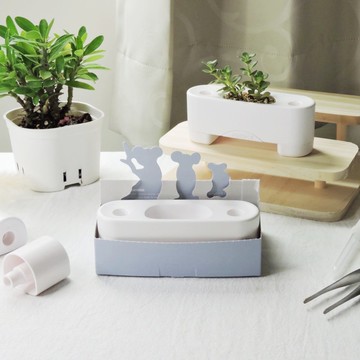 │戀愛必備│暖熊抱抱-雪白 多彩有栽盆