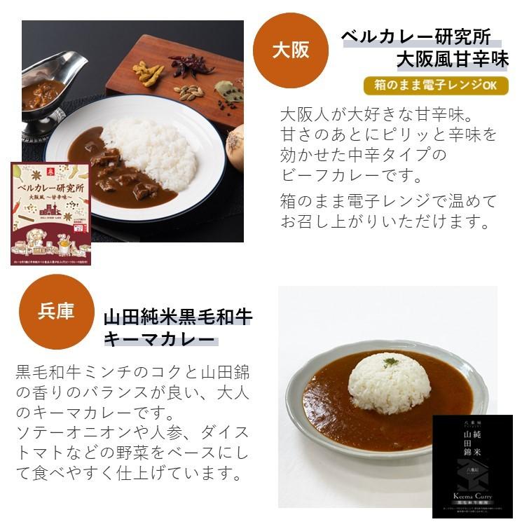 レトルトカレー バラエティー 10食 詰め合わせ 中辛 人気 ご当地 グルメ 日本 お取り寄せ 食べ比べ ギフトセット 旅行 常温保存 2023 食べ物