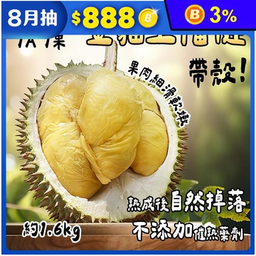 【馬來西亞】冷凍帶殼金貓王榴槤1A果1.6kg 冷凍榴槤 榴槤冰 榴槤肉 水果