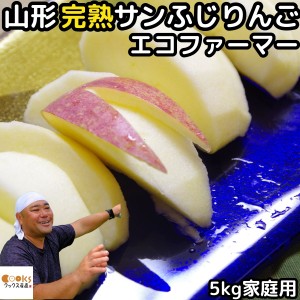 りんご 訳あり ふじ サンふじ 5kg 12～23玉 糖度 減農薬 エコファーマー わけあり 完熟 リンゴ サンフジ 山形 太田農園 りんご 家庭用 送