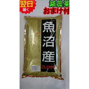 新潟県　魚沼産コシヒカリ 10kg(白米または玄米) 特別栽培　減農薬米 送料無料 ※北海道、沖縄は追加送料かかります。