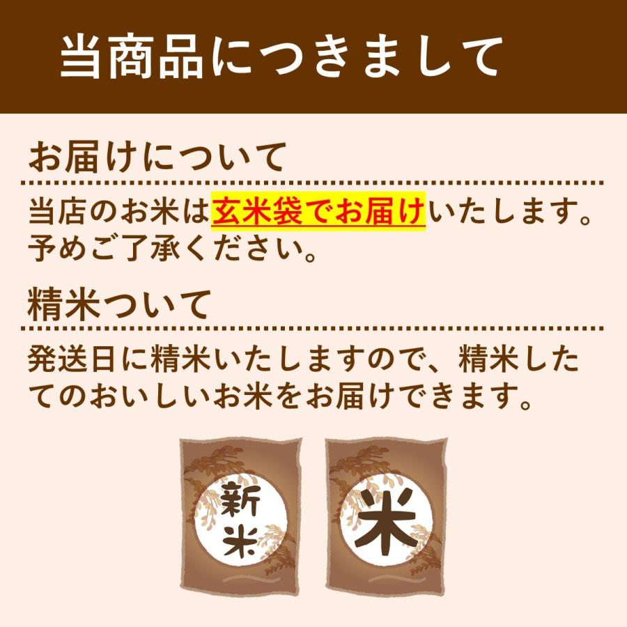 新米 お米 10kg 北海道産 ななつぼし 令和5年 玄米 白米(9kg) 送料無料 無料精米 一等 単一米 検査米