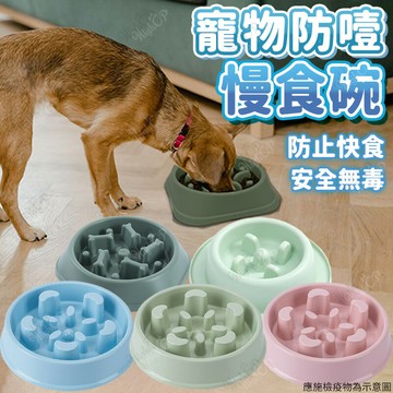 糖果色慢食碗 寵物碗 寵物飼料碗 寵物餵食器 狗碗 狗狗餵食碗 寵物慢食碗 慢食碗【524015】