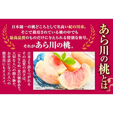 ふるさと納税 桃 もも あら川の桃 和歌山県産 紀州 の名産 旬の桃厳選 約4kg 12-15玉入り 《2024年6月中旬-8月中旬頃より順次出荷》 果物 フ.. 和歌山県紀の川市