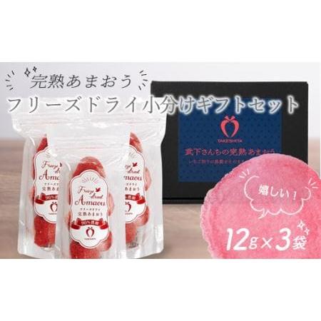 ふるさと納税 形も味もそのまま楽しめる！完熟あまおう (12g×3袋) 福岡県大川市