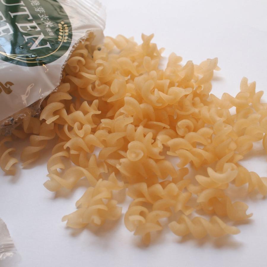 パスタ　おためしセット　マカロニフジッリペンネ各1袋入　送料込みセット　グルテンフリーアレルギー食品