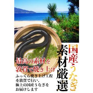 ふるさと納税 [001-b002] ふっくら焼き上げ！国産うなぎ蒲焼き4尾セット 福井県敦賀市