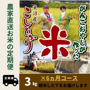 令和５年産新米がんこおやじが作った南魚沼産コシヒカリ白米３kg