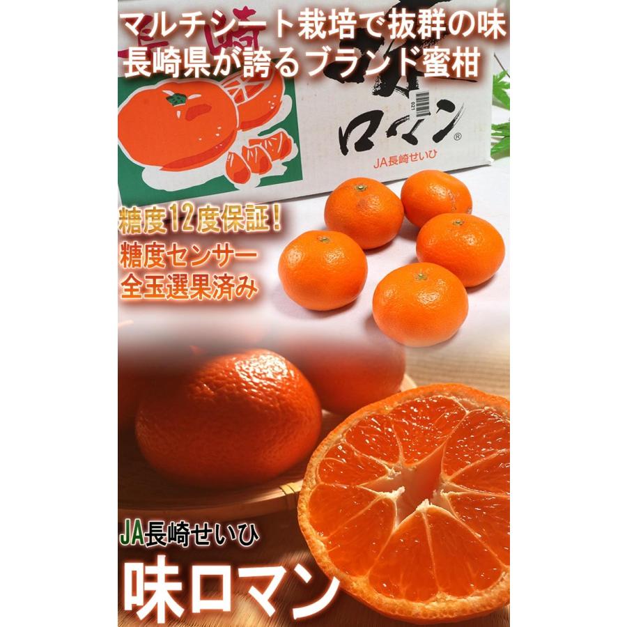 味ロマン 温州みかん 約3kg S〜Lサイズ 長崎県産 糖度12度保証 JA長崎せいひ 農園指定・被覆栽培で抜群の味わい！糖度センサー選果のブランド蜜柑