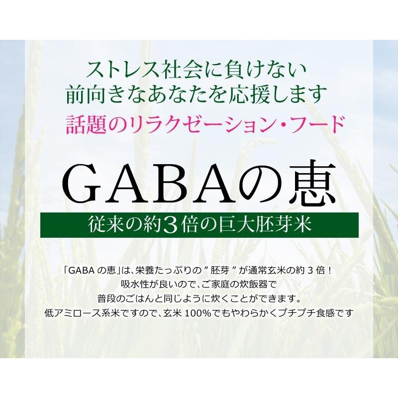 玄米 gABAの恵 国産 巨大胚芽米 ギャバ 300g 玄米 白米モードで炊けます 送料無料 国内産100％ お米 スーパーフード 食物繊維