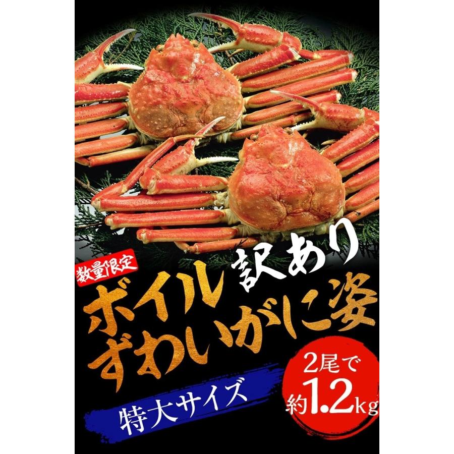 訳あり ボイル ズワイガニ 姿 特大 2尾 約1.2kg ずわいがに ギフト