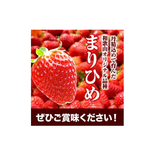 ふるさと納税 和歌山県 岩出市 完熟いちご大粒まりひめ 700g(350g×２パック) よしむら苺ファーム 《12月上旬-4月中旬頃より順次出荷》 和歌山県 岩出市 いち…