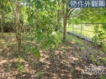 桃園市大溪區休閒農地二筆全臨路面寛好規劃｜桃園市大溪區溪崁段
