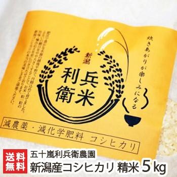 減農薬・減化学肥料 新潟産 炊きあがりが楽しみになるコシヒカリ 精米5kg 五十嵐利兵衛農園 送料無料