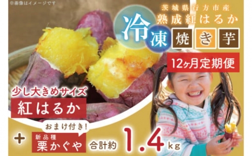 EY-22　茨城県行方市産熟成紅はるか少し大きめサイズ冷凍焼き芋約1.2キロ！おまけ付‼合計約1.4キロ!!!