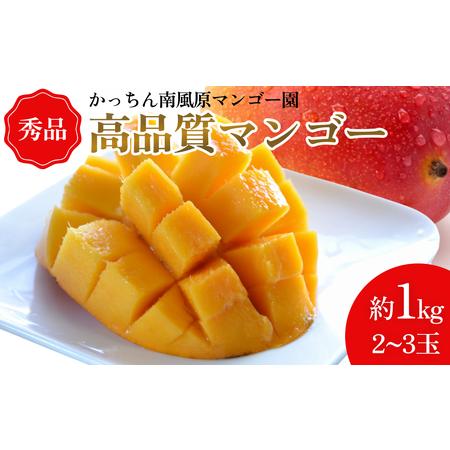 ふるさと納税 高品質マンゴー　秀品　約1kg（2〜3玉） 沖縄県うるま市