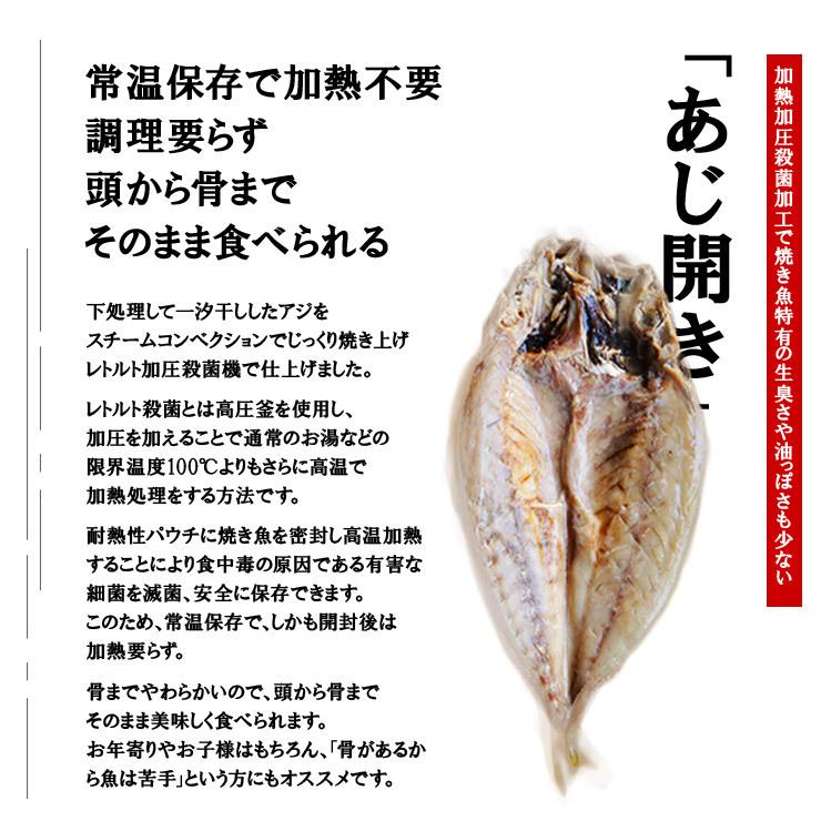 1000円 ポッキリ 骨まで食べられる魚 干物 あじの干物 約90g×2枚 鯵 鰺 アジ ひもの 干物セット 塩焼き 焼き魚 おつまみ おかず 国産 九州