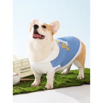 狗狗衣服柯基夏季柴犬邊牧背心衛衣幼犬中型犬寵物小狗防掉毛夏天