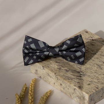 不規則藍格紋領結-在看清楚一點,我不是你常見的藍色格紋領結