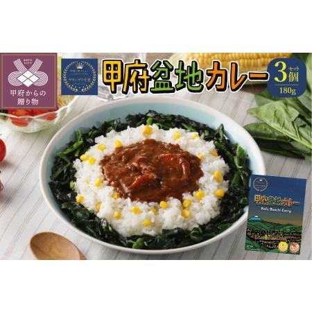 ふるさと納税 甲府の新メニューレシピコンテストグランプリ受賞レシピ　甲府盆地カレー　180g×3個 山梨県甲府市