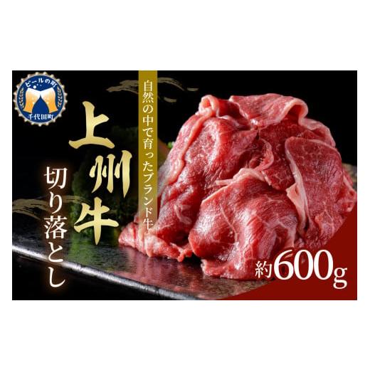 ふるさと納税 群馬県 千代田町 牛肉 切り落とし  600g 群馬県 千代田町切落し 肉 お肉 冷凍 1万円 牛丼 カレー ビーフシチュー 肉じゃが 食品 グル…