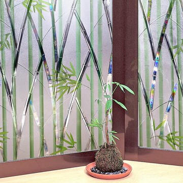 MEIWA 日本抗UV可變色靜電窗貼 (竹林風情)92x100公分