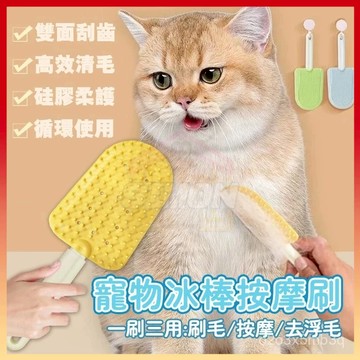 現貨+隔日到貨🤞冰棒除毛刷 按摩除毛刷 寵物除毛梳 寵物毛髮梳理 梳毛神器 除毛梳 除貓毛 快速除毛 乾溼兩用 除毛