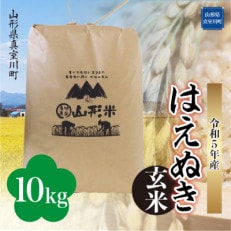 令和5年産 はえぬき  10kg(10kg×1袋) 山形県 真室川町