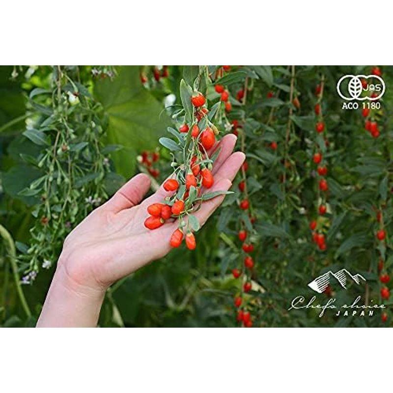 シェフズチョイス 有機クコの実 Organic Goji Berries 有機JAS (250g1袋)