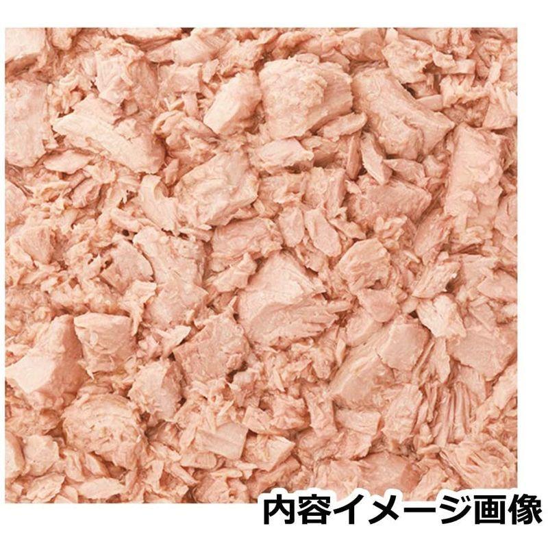 はごろも シーチキンオイル無添加Lチャンク 1kg (8651)