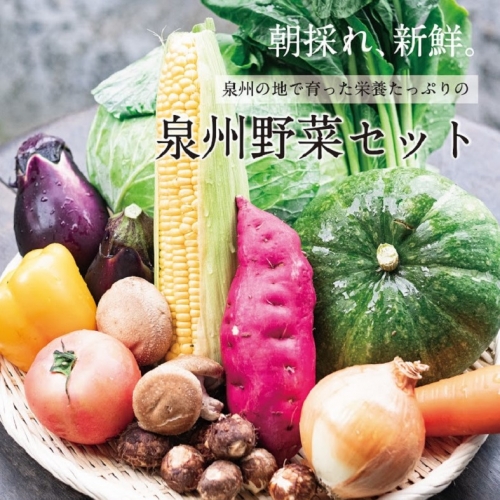 季節の泉州野菜 12種 おまかせセット ピクルスの素 2袋付き