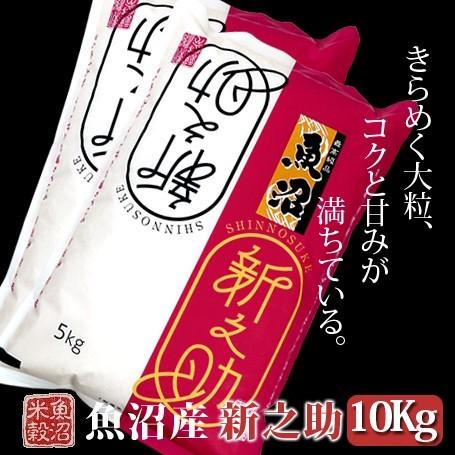 新米 米 10kg 5kg×2 魚沼産新之助 令和5年産 白米 送料無料（北海道・九州・沖縄は除く）離島は発送不可