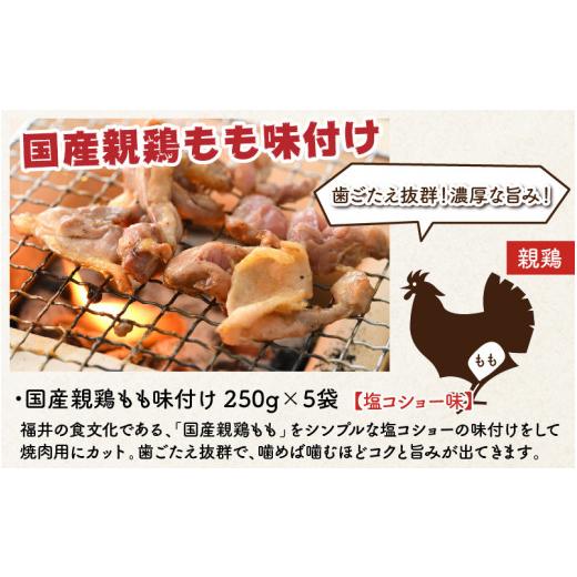 ふるさと納税 福井県 坂井市 国産鶏もも（焼肉用）250g × 5袋・国産親鶏もも味付け（焼肉用）250g × 5袋 詰め合わせ 計2.5kg  [A-12403]