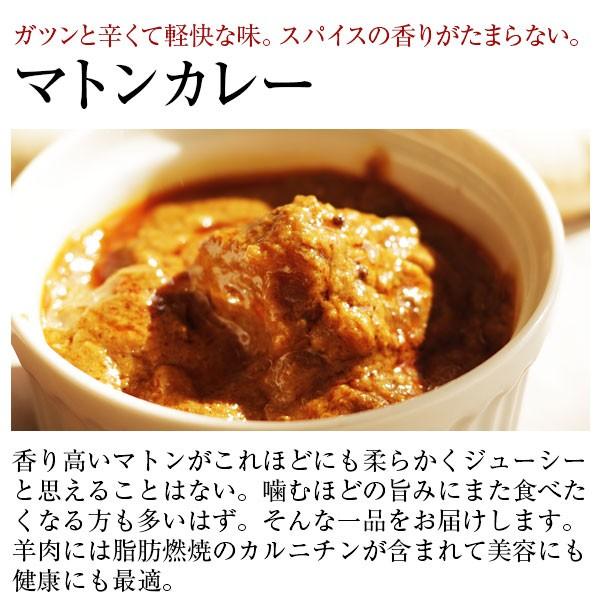 送料無料 アジャンタ 伝説の味カレーセット1〜2人前