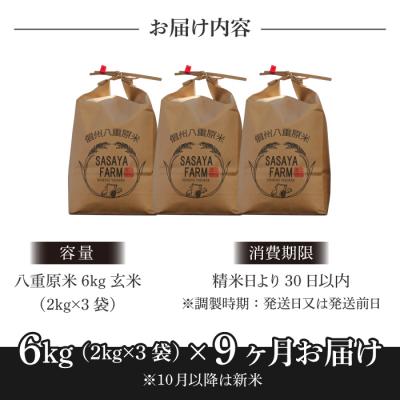 ふるさと納税 東御市 八重原米 玄米 6kg (2kg×3袋)