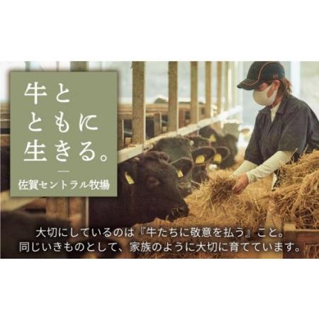 ふるさと納税 佐賀県産和牛 赤身ステーキ 600g（150g×4パック）[IAH077] 佐賀県白石町