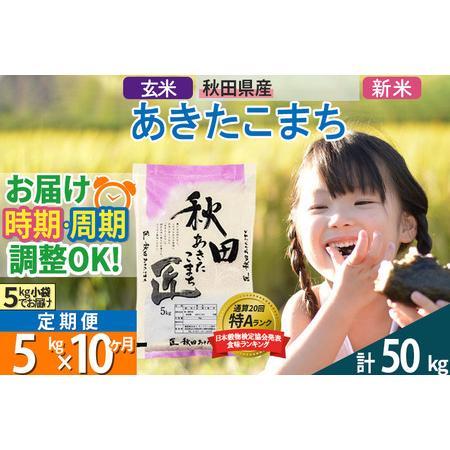 ふるさと納税 ＜新米＞ 《定期便10ヶ月》秋田県産 あきたこまち 5kg (5kg×1袋)×10回 令和5年産 時期選べる5キロ お米 秋田県仙北市