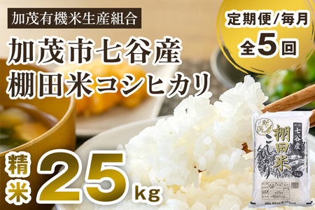 新潟県加茂市 七谷産 棚田米コシヒカリ 精米25kg（5kg×5）白米 加茂有機米生産組合 定期便 定期購入 定期 コシヒカリ 新潟県産コシヒカリ 米 お米