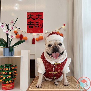 【CUBE】 喜氣洋洋 寵物衣服 法鬥 柴犬 大型犬 柯基 狗狗衣服 寵物服飾 新年衣 寵物新年 比熊