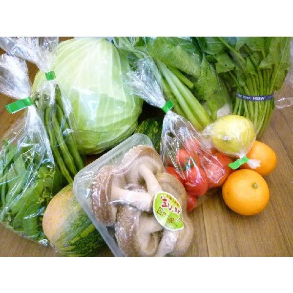 野菜セット 旬の野菜詰め合わせ 13種以上 和歌山産中心 送料無料