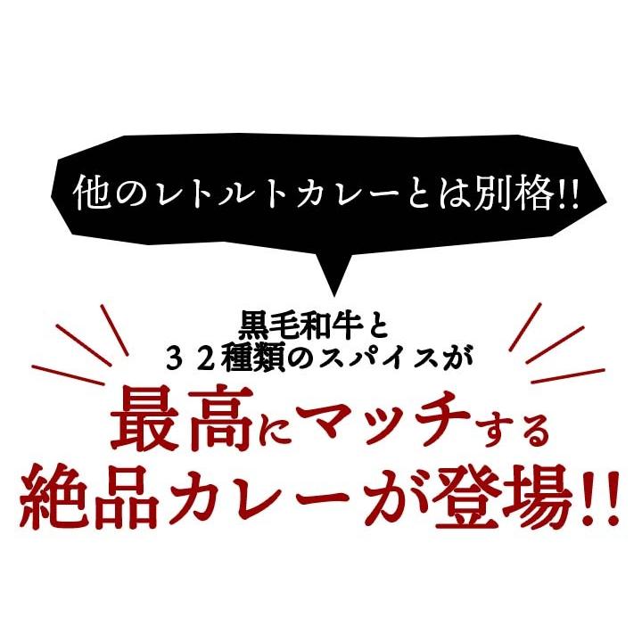 ビーフカレー ザ・ビーフ黒毛和牛すじカレー(240g・1食入) 常温便・クール冷蔵便可　※冷凍商品同梱不可