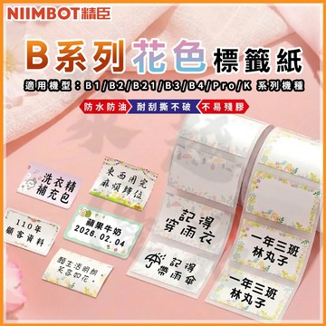 《台灣代理商公司貨》B21S/B21/B21Pro/B1/B3S/B31 彩色貼紙P1 營養標示 精臣 姓名貼 防水貼紙