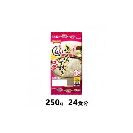 ふるさと納税 新潟県 南魚沼市 たきたてご飯　ふっくらつや炊き　大盛　250g×24食分　／テーブルマーク　パックごはん