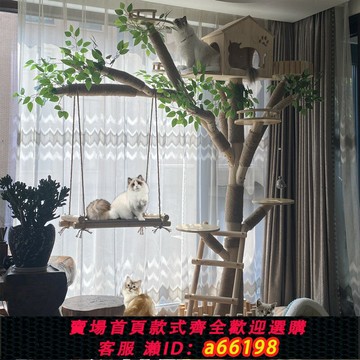 【台灣公司 可開發票】大型貓爬架實木樹干耐磨不粘毛貓咖貓舍裝飾樹貓爬架貓窩貓樹一體