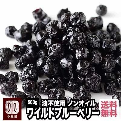 ドライフルーツ ワイルドブルーベリー ドライブルーベリー ノンオイル 野生種 ブルーベリー 500g 油不使用