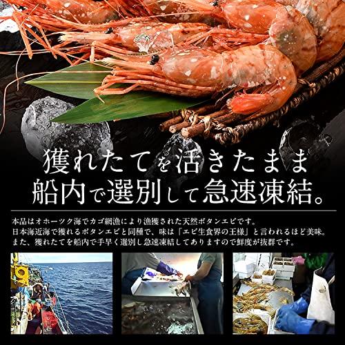 港ダイニングしおそう ボタンエビ 500g（約11〜12尾入り） ぼたんえび 牡丹海老 海老 エビ えび ボタン海老 冷凍エビ 冷凍えび 冷凍 冷凍食